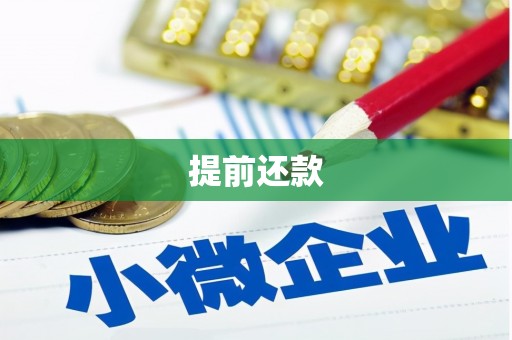 新河提前还款