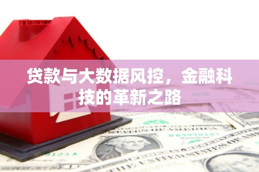 新河贷款与大数据风控，金融科技的革新之路