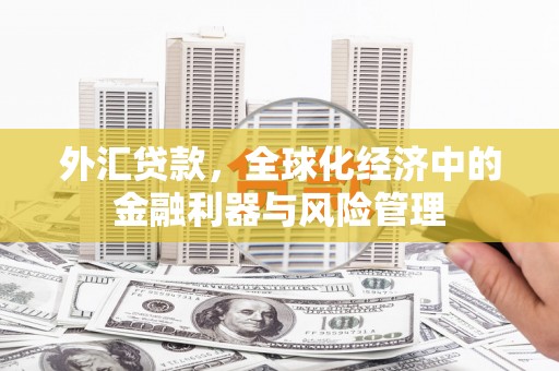 新河外汇贷款，全球化经济中的金融利器与风险管理