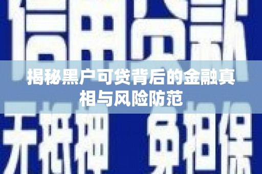 新河揭秘黑户可贷背后的金融真相与风险防范