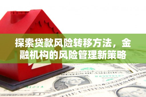 新河探索贷款风险转移方法，金融机构的风险管理新策略
