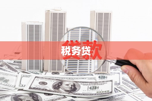新河税务贷