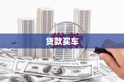 新河贷款买车