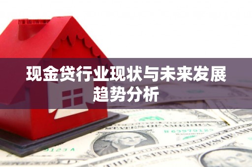 新河现金贷行业现状与未来发展趋势分析