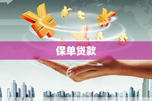 新河保单贷款