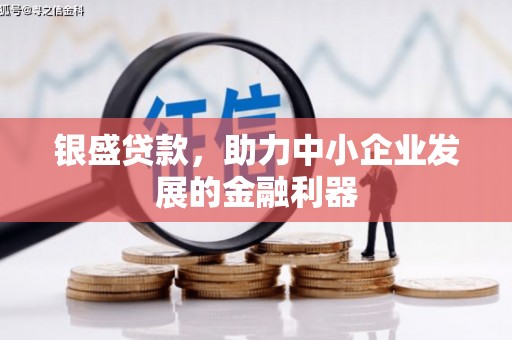 新河银盛贷款，助力中小企业发展的金融利器