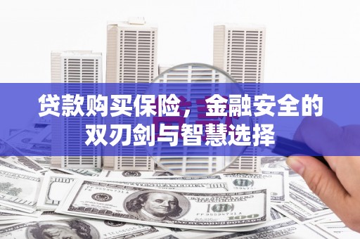 新河贷款购买保险，金融安全的双刃剑与智慧选择