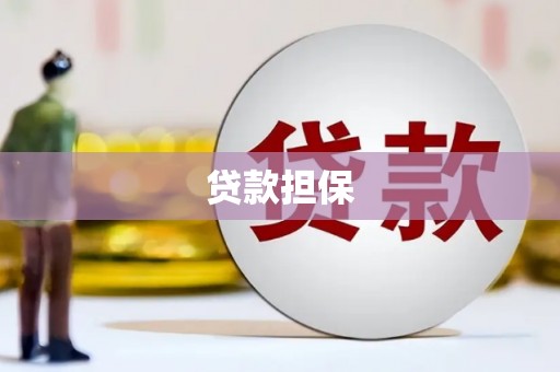 新河贷款担保