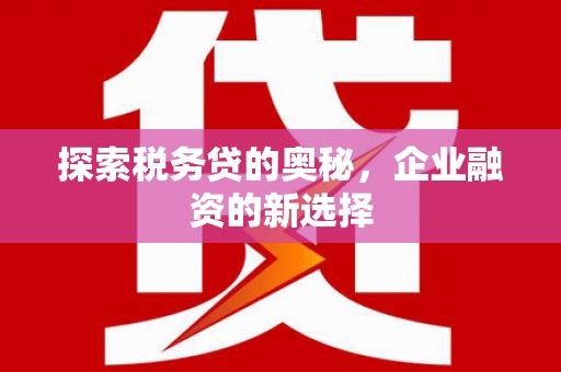 新河探索税务贷的奥秘，企业融资的新选择