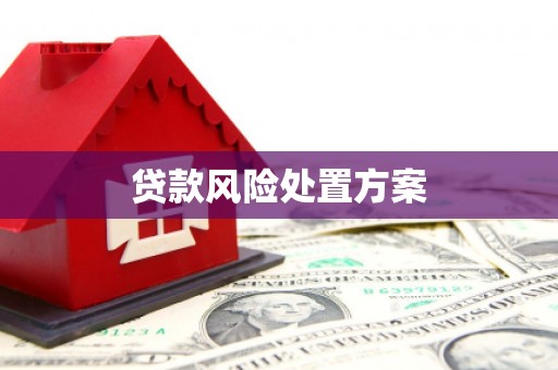 新河贷款风险处置方案