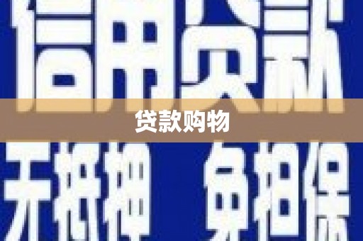 新河贷款购物