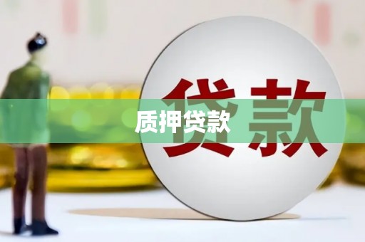 新河质押贷款