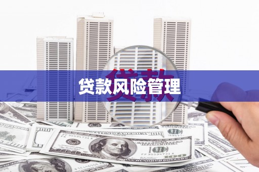 新河贷款风险管理