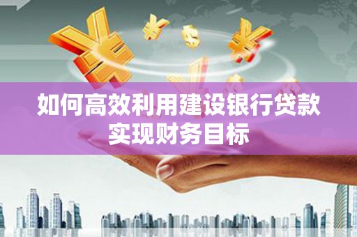 新河如何高效利用建设银行贷款实现财务目标