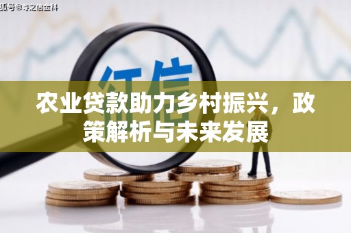 新河农业贷款助力乡村振兴，政策解析与未来发展