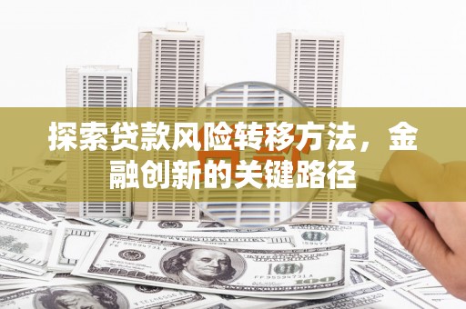 新河探索贷款风险转移方法，金融创新的关键路径