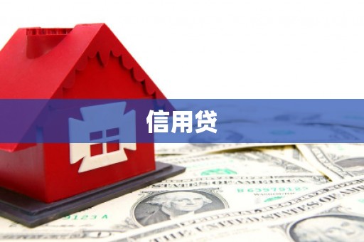 新河信用贷