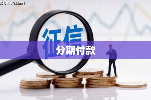 新河分期付款