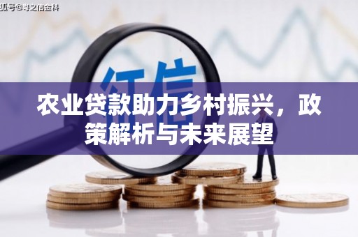 新河农业贷款助力乡村振兴，政策解析与未来展望