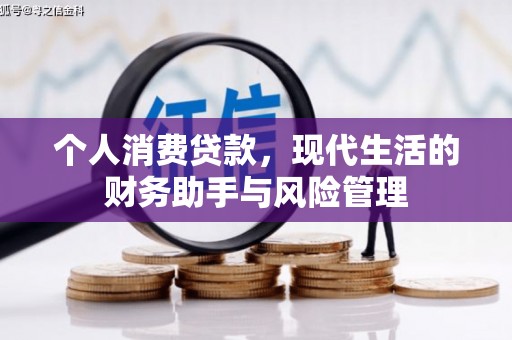 新河个人消费贷款，现代生活的财务助手与风险管理