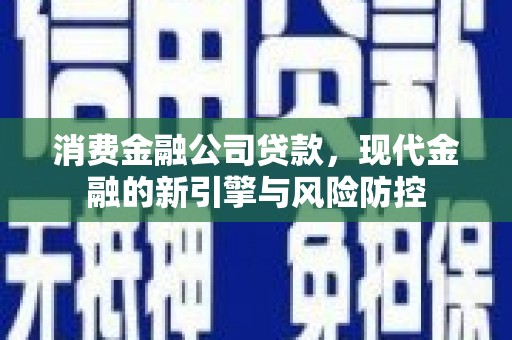 新河消费金融公司贷款，现代金融的新引擎与风险防控