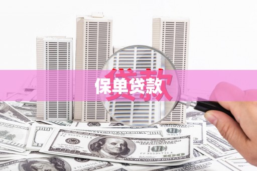 新河保单贷款