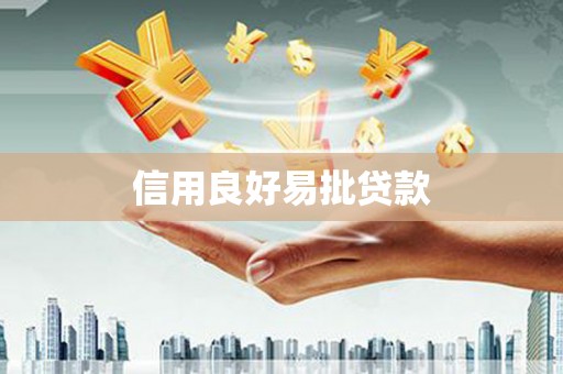 新河信用良好易批贷款