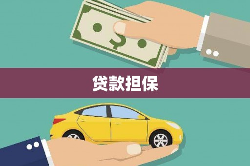 新河贷款担保
