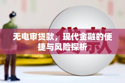 新河无电审贷款，现代金融的便捷与风险探析