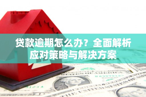 新河贷款逾期怎么办？全面解析应对策略与解决方案