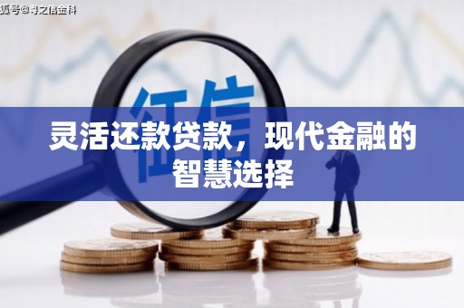新河灵活还款贷款，现代金融的智慧选择