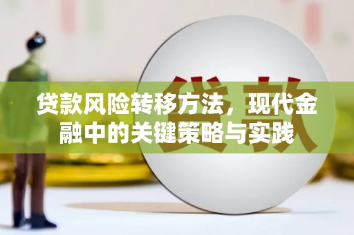 新河贷款风险转移方法，现代金融中的关键策略与实践