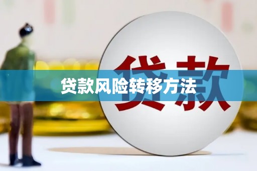 新河贷款风险转移方法