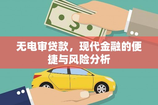 新河无电审贷款，现代金融的便捷与风险分析