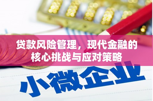 新河贷款风险管理，现代金融的核心挑战与应对策略