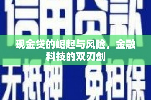 新河现金贷的崛起与风险，金融科技的双刃剑