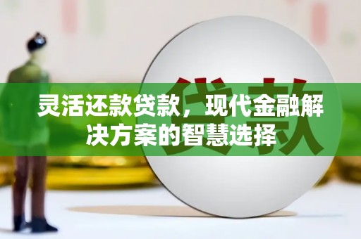 新河灵活还款贷款，现代金融解决方案的智慧选择