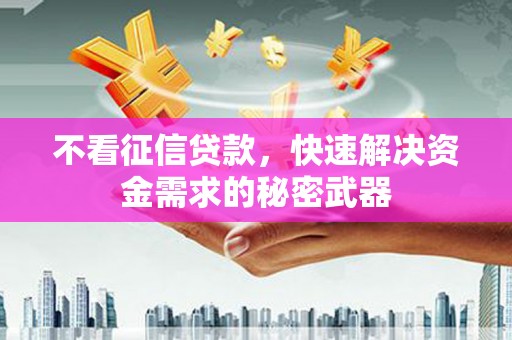 新河不看征信贷款，快速解决资金需求的秘密武器