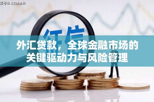 新河外汇贷款，全球金融市场的关键驱动力与风险管理