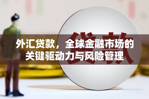 新河外汇贷款，全球金融市场的关键驱动力与风险管理