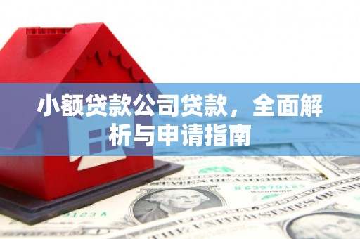 新河小额贷款公司贷款，全面解析与申请指南