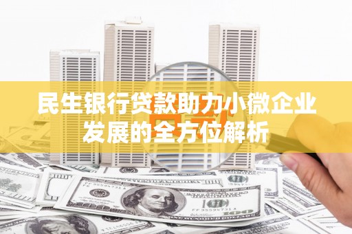 新河民生银行贷款助力小微企业发展的全方位解析
