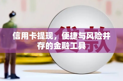 新河信用卡提现，便捷与风险并存的金融工具
