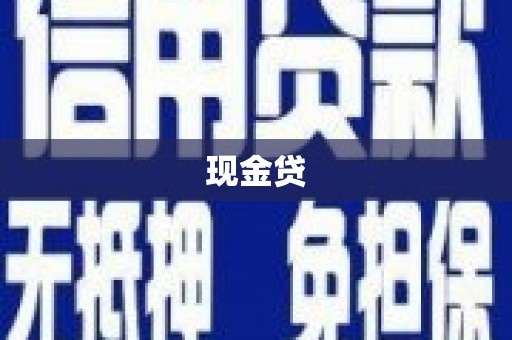 新河现金贷