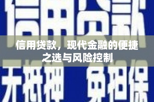 新河信用贷款，现代金融的便捷之选与风险控制