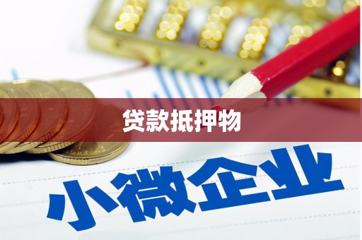 新河贷款抵押物