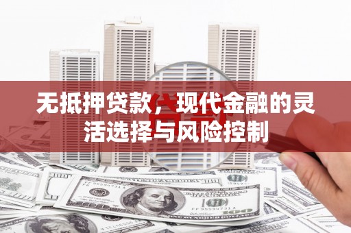 新河无抵押贷款，现代金融的灵活选择与风险控制