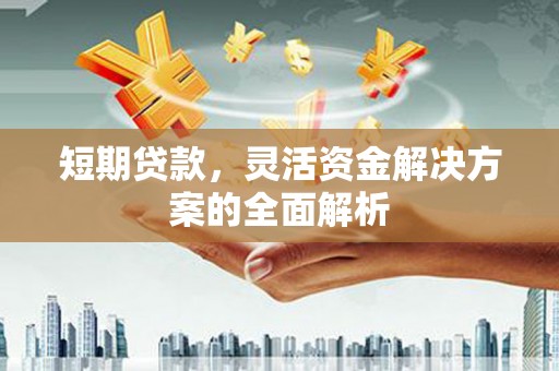 新河短期贷款，灵活资金解决方案的全面解析