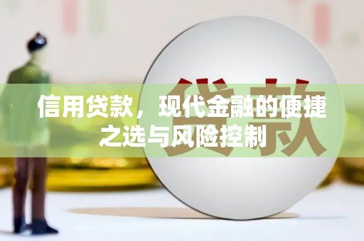 新河信用贷款，现代金融的便捷之选与风险控制