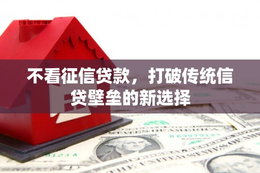 新河不看征信贷款，打破传统信贷壁垒的新选择